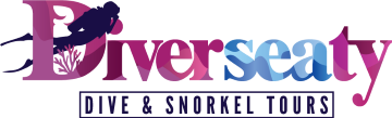 Diverseaty Tours